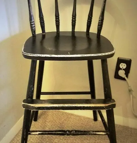 Well-appointed Cozy Portage Park Apt, Dogs, Kids, Free Parking, 420 Compliant