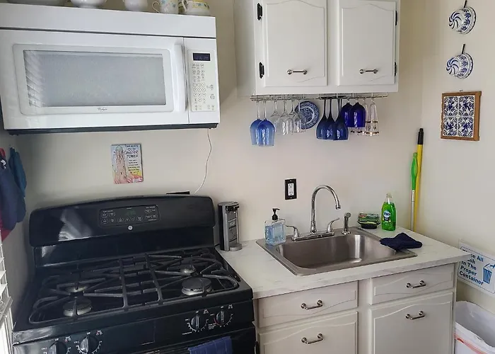 Well-appointed Cozy Portage Park Apt, Dogs, Kids, Free Parking, 420 Compliant * Chicago