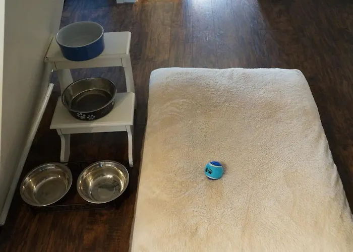 Apartment Well-appointed Cozy Portage Park Apt, Dogs, Kids, Free Parking, 420 Compliant Chicago