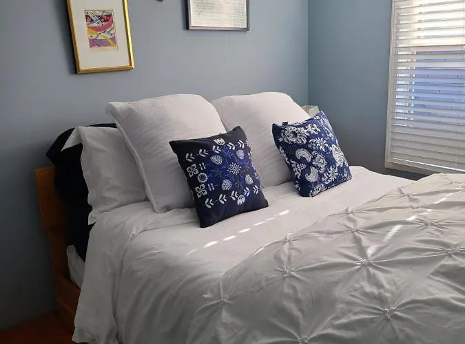 Well-appointed Cozy Portage Park Apt, Dogs, Kids, Free Parking, 420 Compliant *