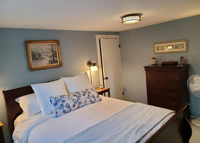 Well-appointed Cozy Portage Park Apt, Dogs, Kids, Free Parking, 420 Compliant *