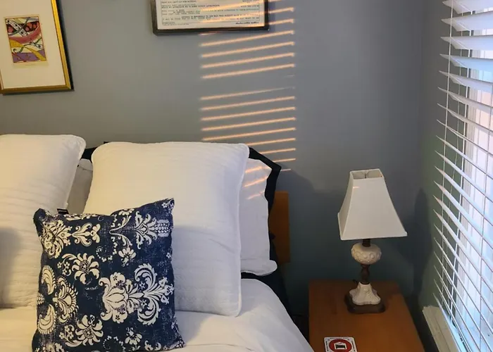 Apartment Well-appointed Cozy Portage Park Apt, Dogs, Kids, Free Parking, 420 Compliant