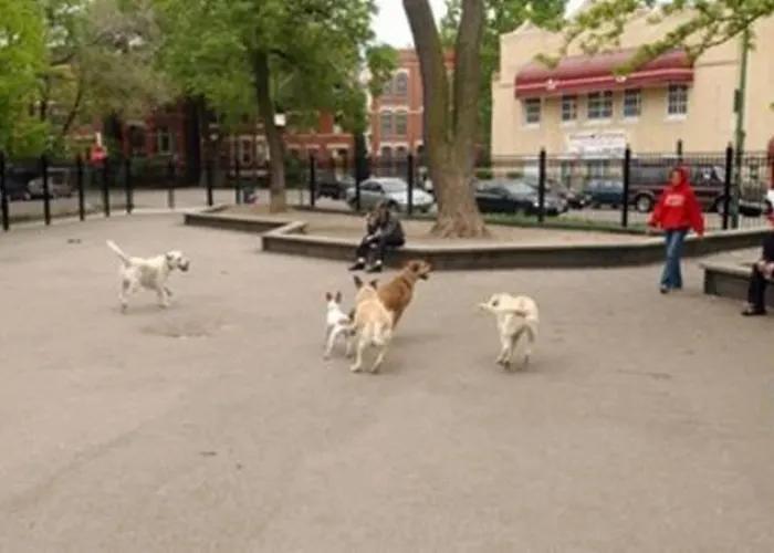 Well-appointed Cozy Portage Park Apt, Dogs, Kids, Free Parking, 420 Compliant * Chicago